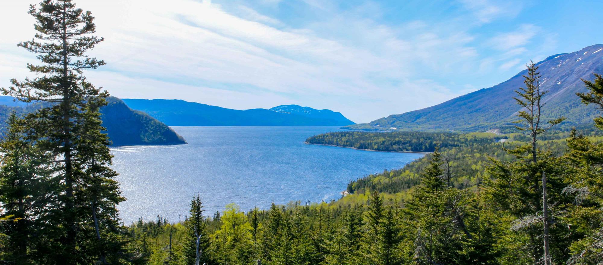 Gros Morne National Park , Newfoundland