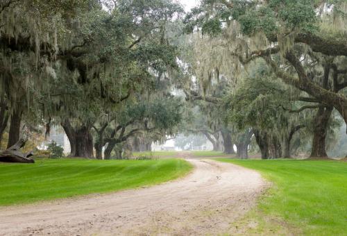 Southern Plantation